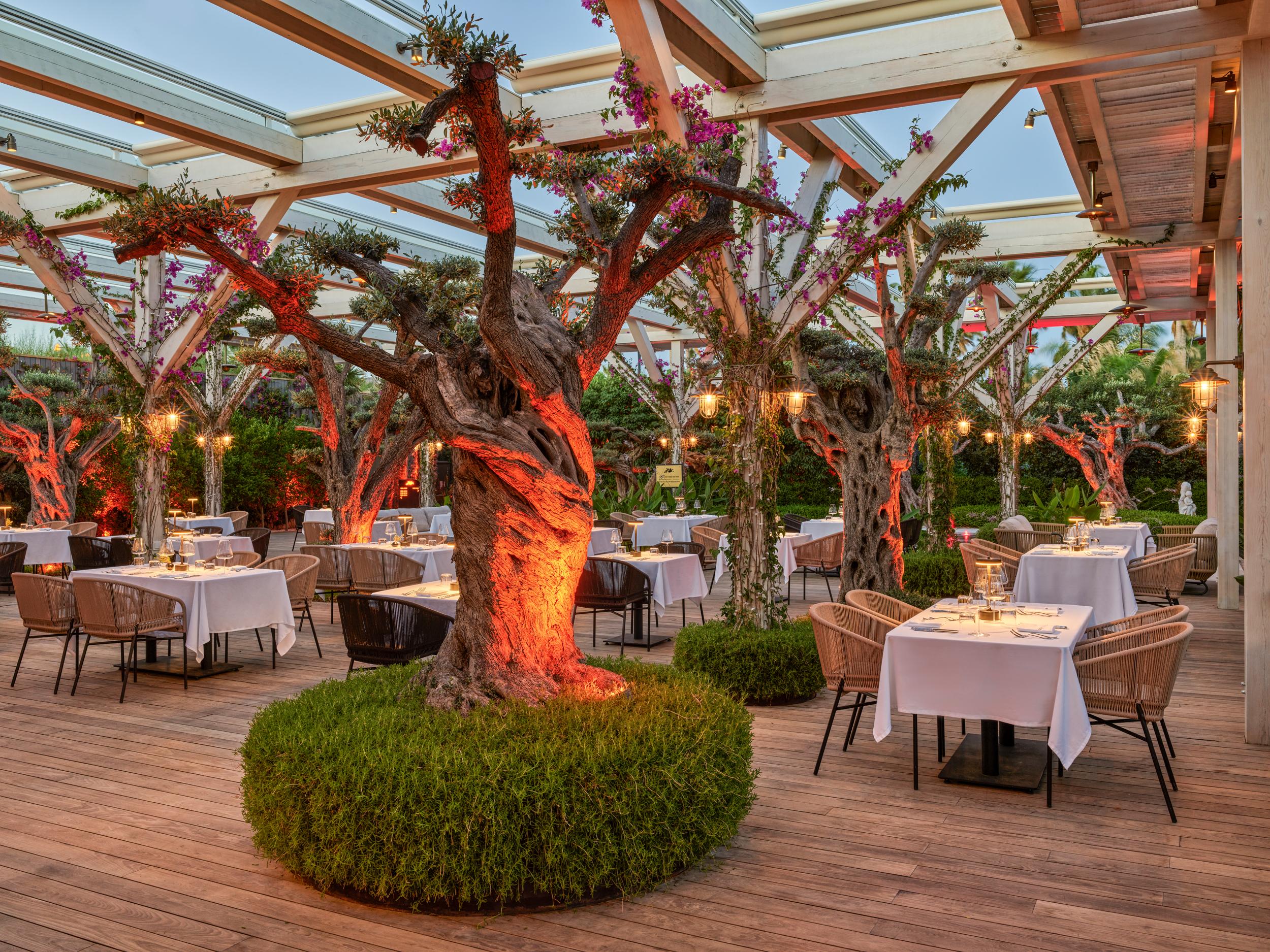Biblos Resort 阿拉恰特 外观 照片