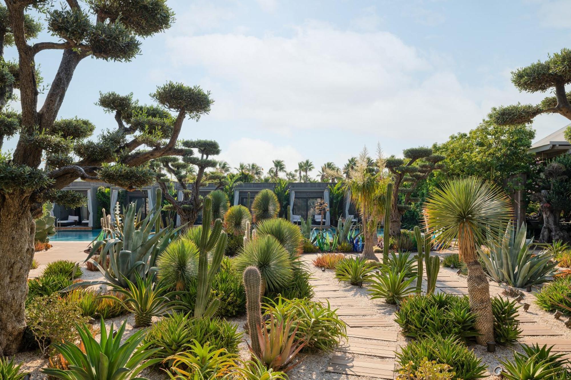 Biblos Resort 阿拉恰特 外观 照片